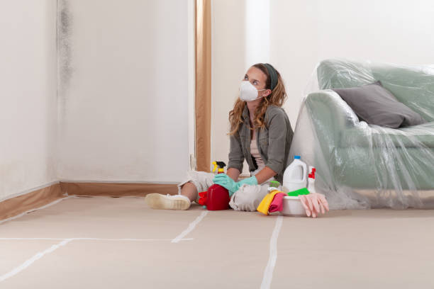 Reliable Mold Cleanup contractor in Wayne, PA by Cheap Mold Removal